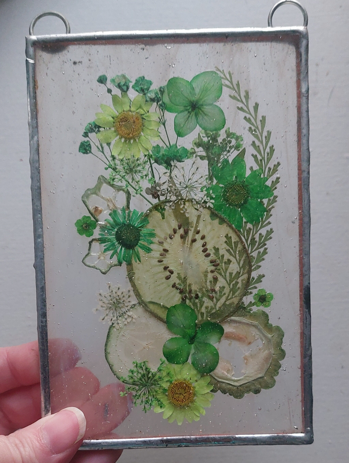 Stained glass: Kiwi dream flower and fruit panel 4x6