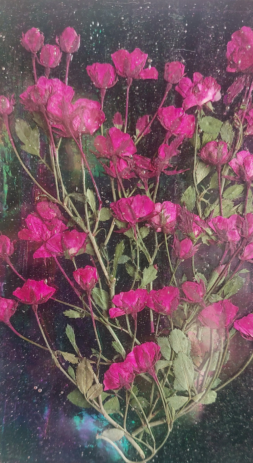 Stained glass: Iridescent pink rose pressed flower panel 4x6
