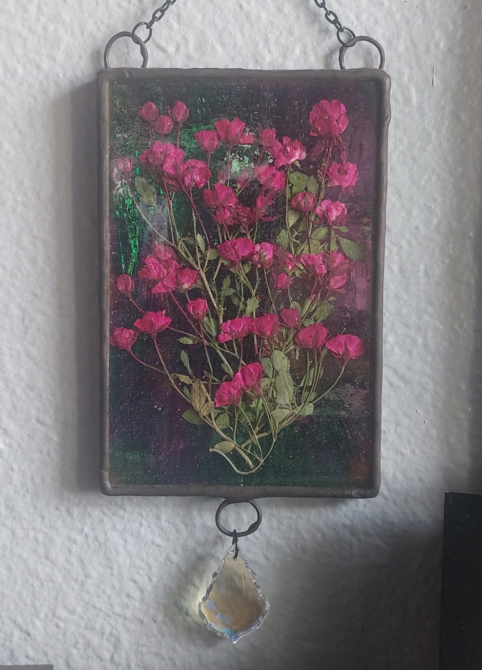 Stained glass: Iridescent pink rose pressed flower panel 4x6