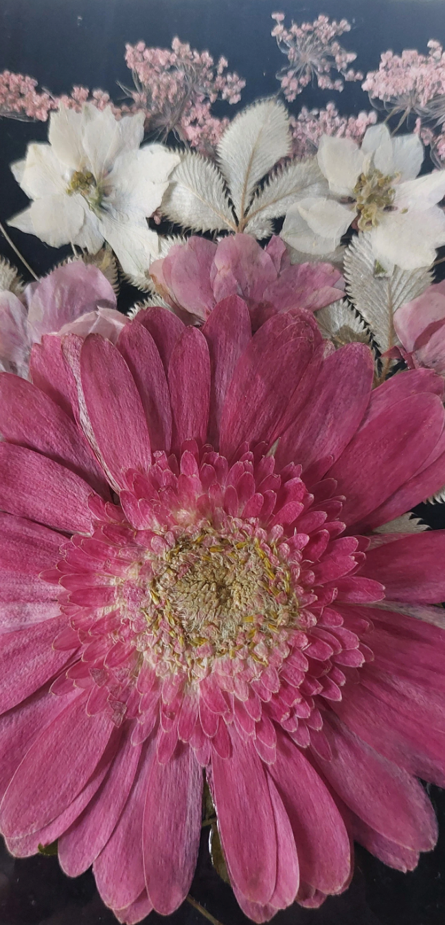 Stained glass: Giant pink flower panel 4x6