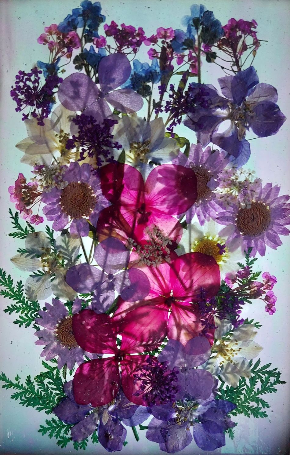 Stained glass: Iridescent blue and pressed flower panel 4x6