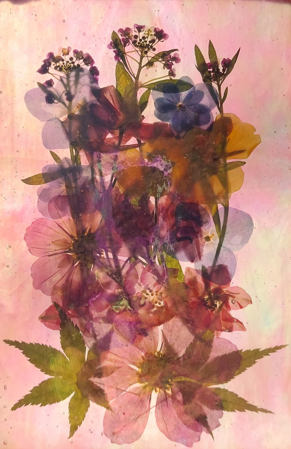 Stained glass: Iridescent pinks and pressed flower panel 4x6